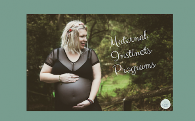 Introducing the Maternal Instincts Programs