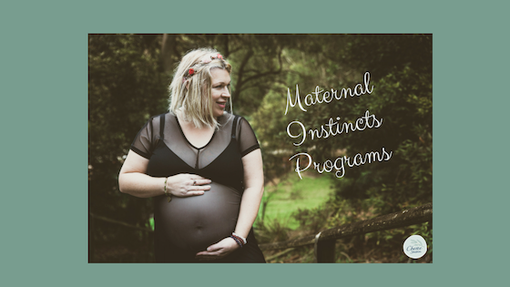 Introducing the Maternal Instincts Programs